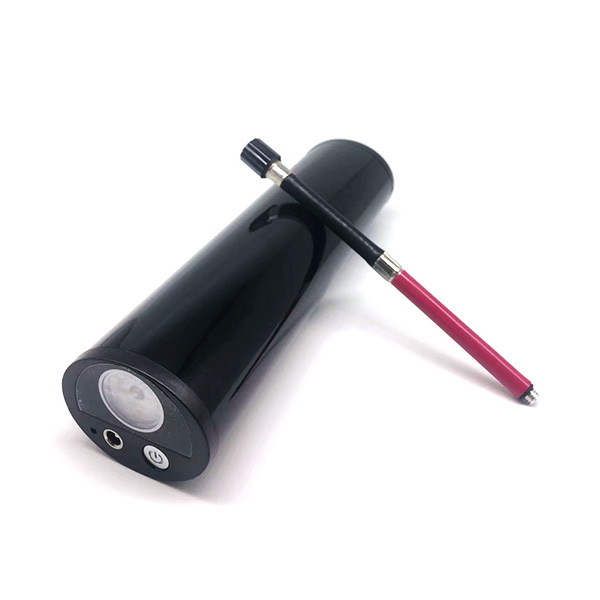 AP-101D1 economical electric pump